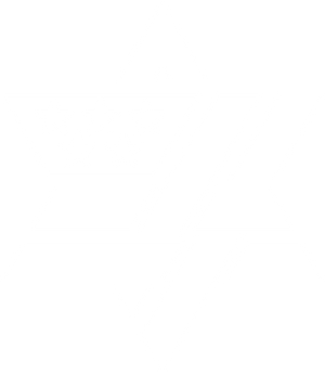 The AIPAC Store